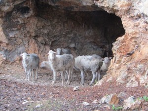IMG_4726 (Medium)     